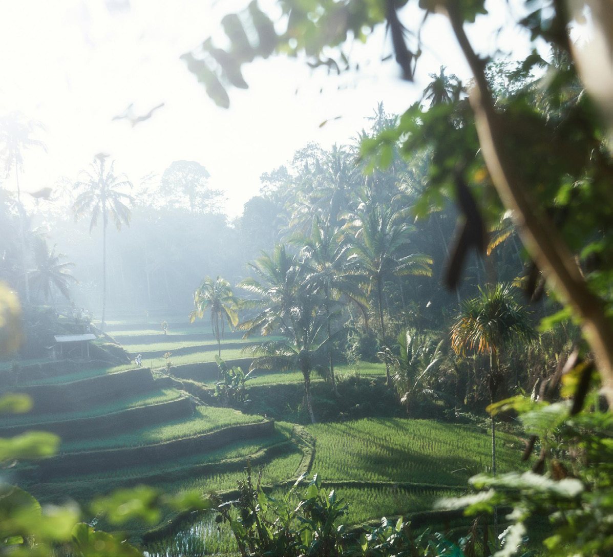 North Bali